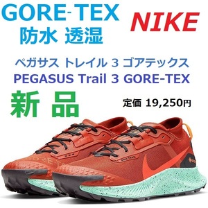 29㎝ 最後 新品 即決 ペガサス トレイル 3 ゴアテックス 防水透湿 PEGASUS TRAIL 3 GORE-TEX トレラン トレイル アウトドア ハイキング GTX