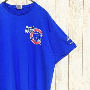 DELTA Iowa Cubs アイオワ・カブス アルモラJr プリント Tシャツ XL MLB メジャーリーグ マイナーリーグ USA古着 アメリカ古着