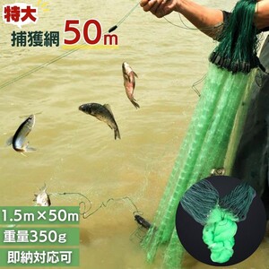 投網 グリーン 罠型捕獲ネット ロングタイプ とあみ 魚 漁業 漁師 フィッシング スポーツ 釣具 カニ エビ 追い込み漁 捕獲ネット