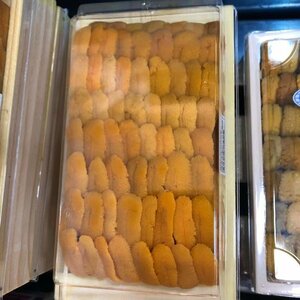 生ウニ 約200~230g うに ロシア産　　１ｐ