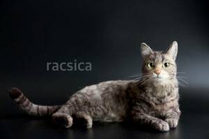 ＊racsica＊羊毛フェルト 猫 インテリア ハンドメイド ネコ 置物　キジトラ