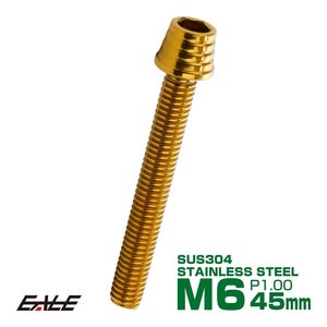 M6×45mm ステンレス テーパーシェルヘッドボルト キャップボルト クランクケース等エンジン周りに ゴールド TB0314