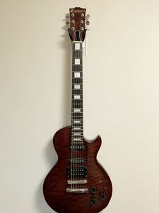  EDWARDS E-I-135QM エドワーズ　イノラン　inoran LUNA SEA ルナシー　瀧川一郎　エレキギター　レスポールタイプ