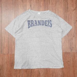 80s champion 染み込み　Tシャツ　XXL /チャンピオン　グレー　ヴィンテージ　ボロ　brandeis USA製