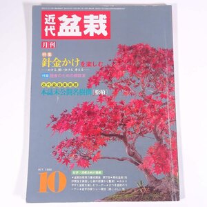 月刊 近代盆栽 No.96 1985/10 近代出版 雑誌 盆栽総合誌 園芸 ガーデニング 植物 特集・針金かけを楽しむ 本誌未公開名樹撰・松柏 ほか