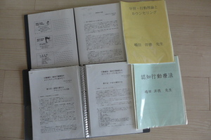 ★即決 送料無料 超貴重&希少 認知行動療法 特別13日間 研修テキスト カウンセラー&セラピスト&PSW&認定心理士&講師&教師など向け