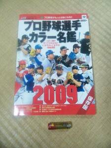 プロ野球選手カラー名鑑2009 B5判 日刊スポーツ出版社 野球名鑑