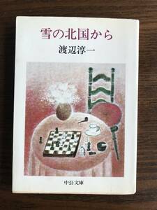 渡辺淳一　雪の北国から　中公文庫