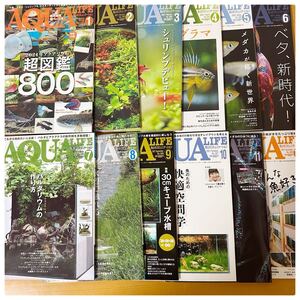 【美品】月刊アクアライフ2021年1月号-12月/メダカ/めだか12冊まとめ売りアクアリュウム　熱帯魚　めだか