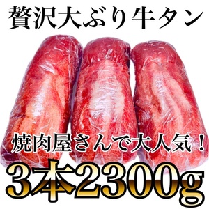 牛タンブロック（2300ｇ）　使い勝手のいいサイズ牛タン 3本セット　業務用　即決　煮込み　塊肉　牛肉　誕生日　贈り物に　BBQ　ステーキ