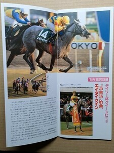 競馬 JRA レープロ990221東京 クイーンC ウメノファイバー /ニシノセイリュウ /Hエイダイクイン ヒシアマゾン /ナイスネイチャ「ワイド」