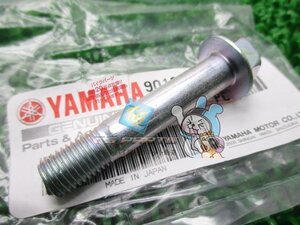 R1-Z スイングアームボルト 在庫有 即納 ヤマハ 純正 新品 バイク 部品 XJR1300 車検 Genuine V-MAX YZF-R1 TZR250 TZR250R XJR1200 DT50