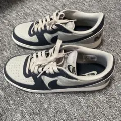 NIKE TERMINATOR LOW Georgetown 28cm