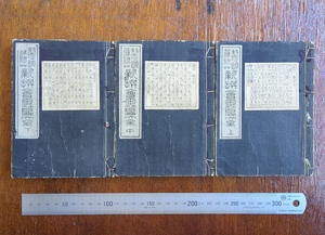 和本　新撰会玉篇大全 全3冊揃い 美品　明治30年 草書漢字字典 毛利貞斎 書道 字彙 字典 書家 漢字 漢文 漢籍 唐本 古典籍 資料 史料 和書