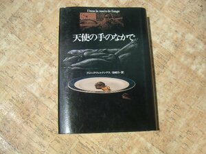 ∞　天使の手のなかで　ドミニック・フェルナンデス、著　岩崎力、訳　ハヤカワ・ノヴェルズ　早川書房、刊　1993年発行