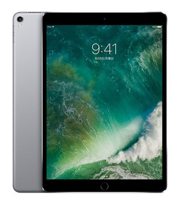 iPadPro 10.5インチ 第1世代[256GB] セルラー SIMフリー スペ …