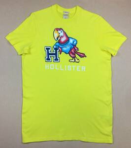 HOLLISTER MALIBU 丸首Tシャツ L イエロー ホリスター オウム