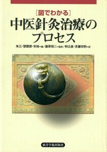 [A01611941]図でわかる中医針灸治療のプロセス