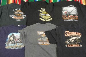 PICK-TS40 大きいサイズ ハーレーダビッドソン HARLEY DAVIDSON プリントTシャツ バックプリント￥1～USA古着卸大量セット業者まとめ売り