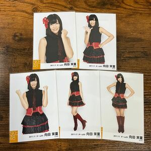 SKE48 向田茉夏 2011 11 チームKII 生写真 コンプ