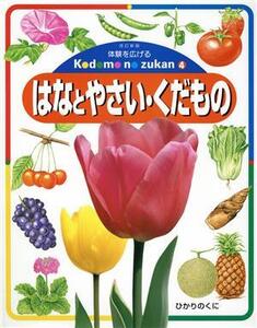 はなとやさい・くだもの 体験を広げるこどものずかん4/山田朋重