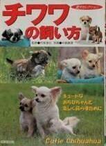 ☆チワワの飼い方 キュートなおちびちゃんと楽しく暮らすために 愛犬セレクション／村岸淳也(その他),中島真理　ちわわちゃん1200円&（税）