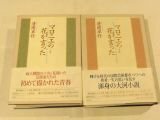 マロニエの花が言った　上下巻全2冊揃