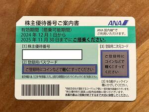 ANA株主優待券　有効期限2024年12月1日から2025年11月30日まで