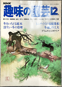 NHK 趣味の園芸 昭和54年 12月 冬をいろどる庭木 洋ラン・冬の管理 ガーデニング 盆栽 花壇 菜園