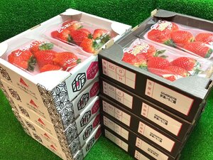 【Good】大量10箱セット たっぷり20パックお届けです！！高級いちご 栃木産『スカイベリー』＆『とちあいか』ご予約