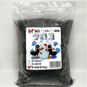 【送料無料・邑楽ファーム】【クール便発送】冷凍クロコオロギ　MSサイズ　１ｋｇ(約14200匹入り)