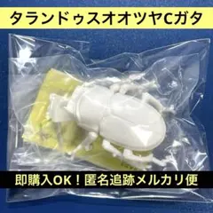 コンセクツ タランドゥスオオツヤCガタ 昆虫 ガチャ カプセルトイ パンダの穴