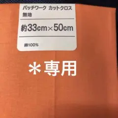 ＊専用　コットンブロード生無地各2枚セット