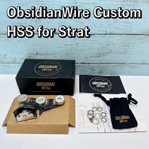 ObsidianWire Custom HSS for Strat