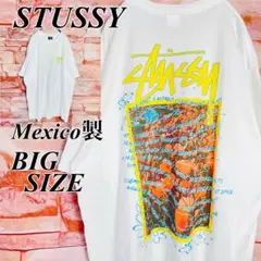 【激レア】ステューシーstussy Tシャツ　ビックサイズ XL古着　蝶　花