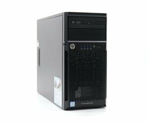 hp ProLiant ML30 Gen9 Xeon E3-1240 v5 3.5GHz 8GB 2TBx2台(NAS用SATA3.5インチ/RAID1構成) DVD+-RW AC*2 SmartArray P440 小難