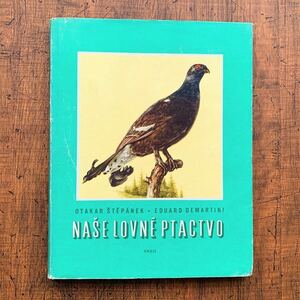 チェコの古い鳥類図鑑(NASE LOVNE PTACTVO 1962年)/アンティーク ヴィンテージ ヨーロッパ 鳥図鑑 鳥のイラスト 雰囲気◎/