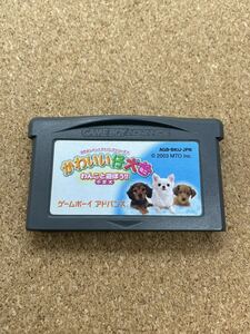 ☆★☆ GBA かわいい仔犬ミニ わんこと遊ぼう 小型犬［040］