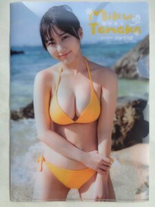 【５件まで同梱可能！！】田中美久　クリアファイル　　ヤングアニマル付録　ＨＫＴ４８