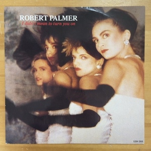 ROBERT PALMER I DIDN