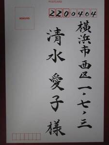 ★毛筆手書き致します★宛名代筆　筆耕　葉書　招待状　封筒　礼状　結婚報告の宛名書き　心のこもった案内状　はがき　年賀状　喪中はがき