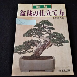 Ca-062/図解盆栽の仕立て方　上野道夫　1981年6月25初版発行　歴史　樹形による種別　新星出版社/L3/61127