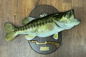 KING Sailfish MOUNTS社 10-POUND LARGEMOUTH BASS REPLICA