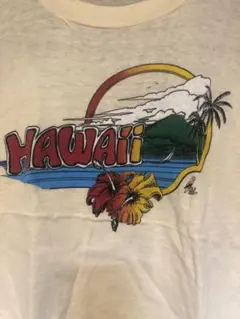 レア　Hawaii ヴィンテージ Tシャツ　パキ綿　キムタク　菅田将暉　ハワイ