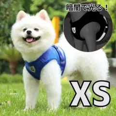 【XS】ブルー 青 ハーネス　リード　犬用　猫用　散歩　ペット　脱げない　軽い