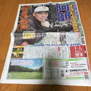 スポーツ報知 報知新聞 令和6年10月30日　巨人　ジャイアンツ　大谷翔平　阿部慎之助　斉藤由貴　高石あかり　渡辺翔太　森本慎太郎