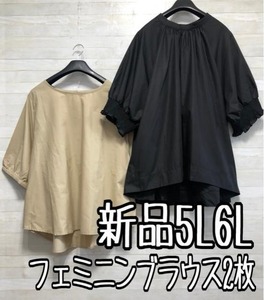 新品☆5L6L♪フェミニンブラウス2枚セット♪わけありも☆x882