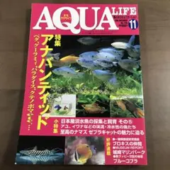 【貴重】アクアライフ 雑誌 月刊AQUALIFE 2000年11月 No256