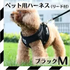 ハーネス Mサイズ リード セット ベスト リール 犬 猫 黒 ブラック ペット