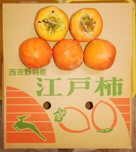 ラストセール産地限定　江戸柿中玉サイズ35 玉セット‐吊るし専用 7k g　柿農家直送便!